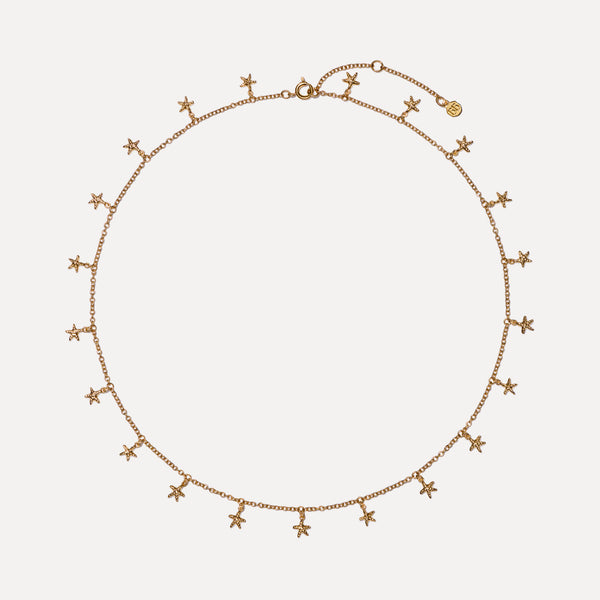 The Starfish Necklace